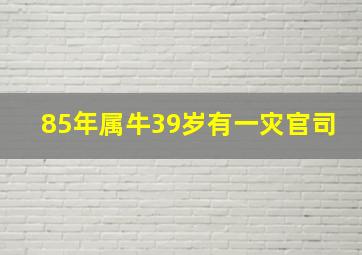 85年属牛39岁有一灾官司