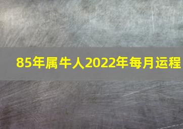 85年属牛人2022年每月运程