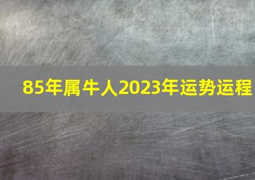 85年属牛人2023年运势运程