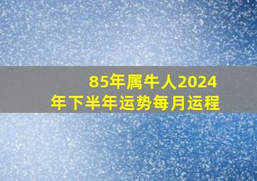 85年属牛人2024年下半年运势每月运程