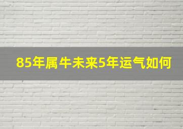 85年属牛未来5年运气如何