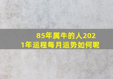 85年属牛的人2021年运程每月运势如何呢