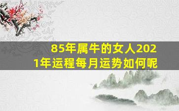 85年属牛的女人2021年运程每月运势如何呢