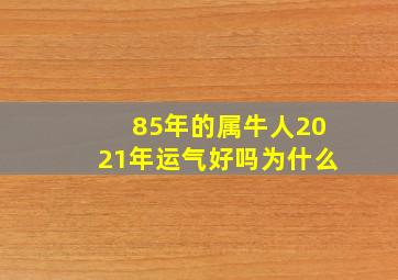 85年的属牛人2021年运气好吗为什么