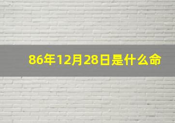 86年12月28日是什么命