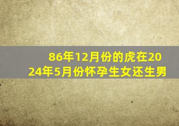 86年12月份的虎在2024年5月份怀孕生女还生男