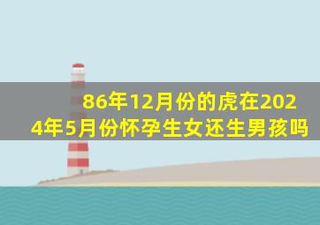 86年12月份的虎在2024年5月份怀孕生女还生男孩吗