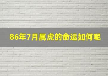 86年7月属虎的命运如何呢