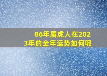 86年属虎人在2023年的全年运势如何呢