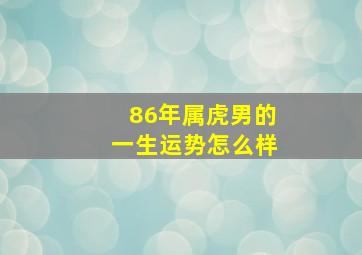 86年属虎男的一生运势怎么样