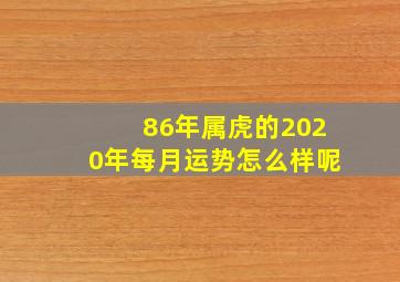 86年属虎的2020年每月运势怎么样呢