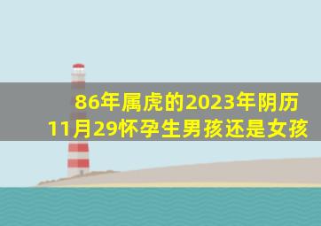 86年属虎的2023年阴历11月29怀孕生男孩还是女孩