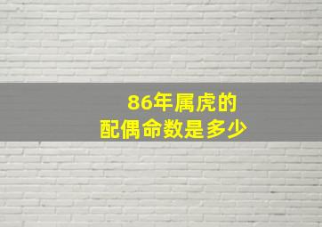 86年属虎的配偶命数是多少