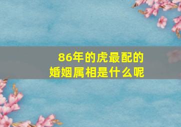 86年的虎最配的婚姻属相是什么呢