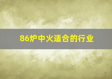 86炉中火适合的行业