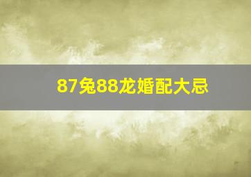 87兔88龙婚配大忌