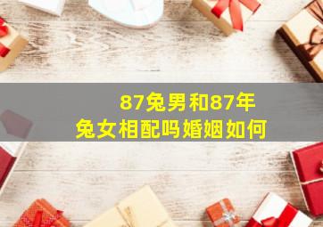 87兔男和87年兔女相配吗婚姻如何