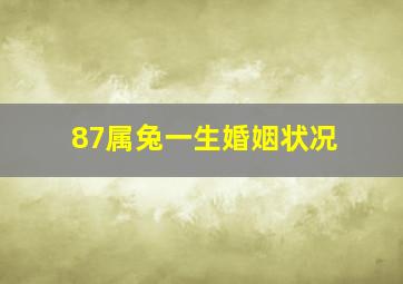 87属兔一生婚姻状况