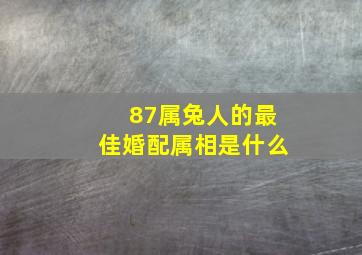 87属兔人的最佳婚配属相是什么