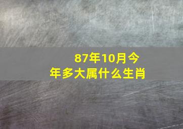 87年10月今年多大属什么生肖