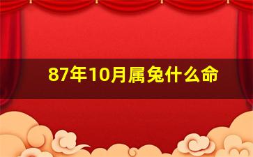 87年10月属兔什么命