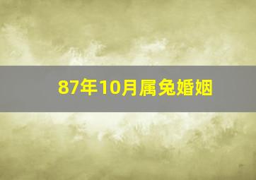 87年10月属兔婚姻