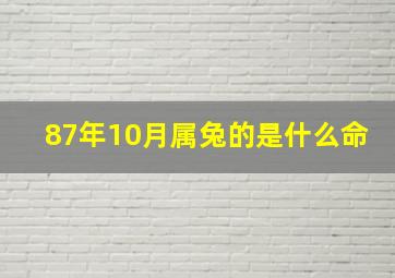 87年10月属兔的是什么命