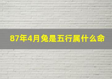 87年4月兔是五行属什么命