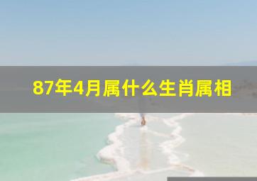 87年4月属什么生肖属相