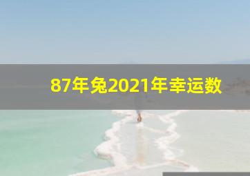 87年兔2021年幸运数