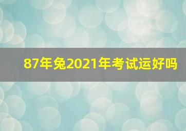 87年兔2021年考试运好吗