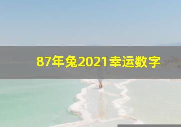 87年兔2021幸运数字