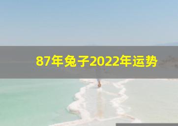 87年兔子2022年运势