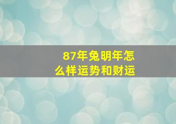 87年兔明年怎么样运势和财运