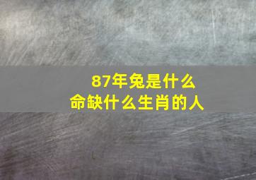 87年兔是什么命缺什么生肖的人