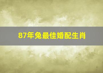 87年兔最佳婚配生肖