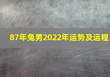 87年兔男2022年运势及运程