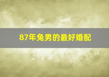 87年兔男的最好婚配