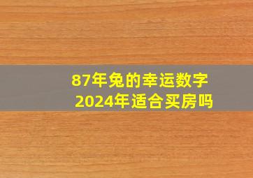 87年兔的幸运数字2024年适合买房吗