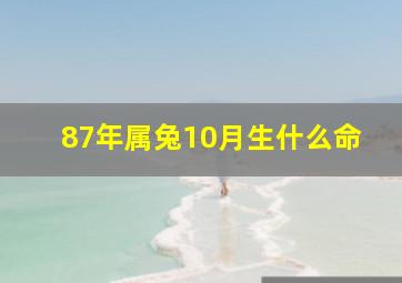 87年属兔10月生什么命