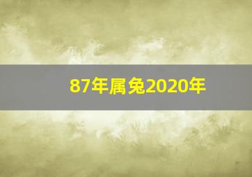 87年属兔2020年