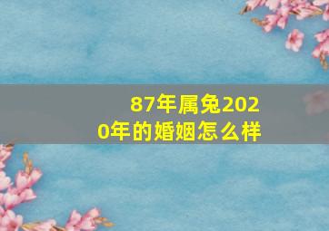 87年属兔2020年的婚姻怎么样