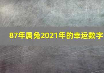 87年属兔2021年的幸运数字