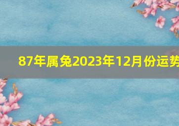 87年属兔2023年12月份运势