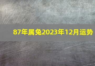 87年属兔2023年12月运势