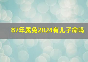 87年属兔2024有儿子命吗