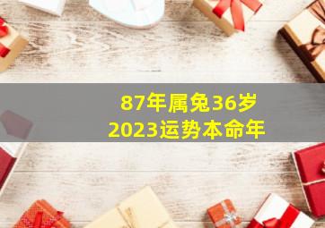 87年属兔36岁2023运势本命年