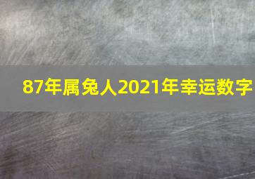 87年属兔人2021年幸运数字