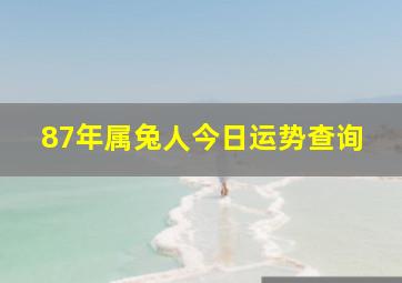 87年属兔人今日运势查询