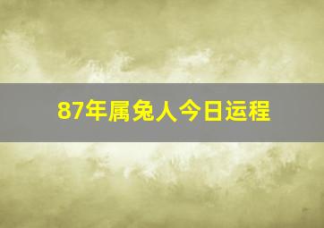 87年属兔人今日运程